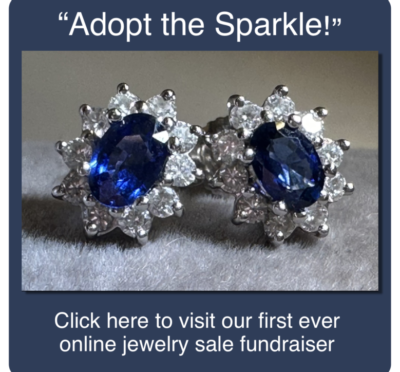 Adopt the Sparkle Jewelry Fundraiser